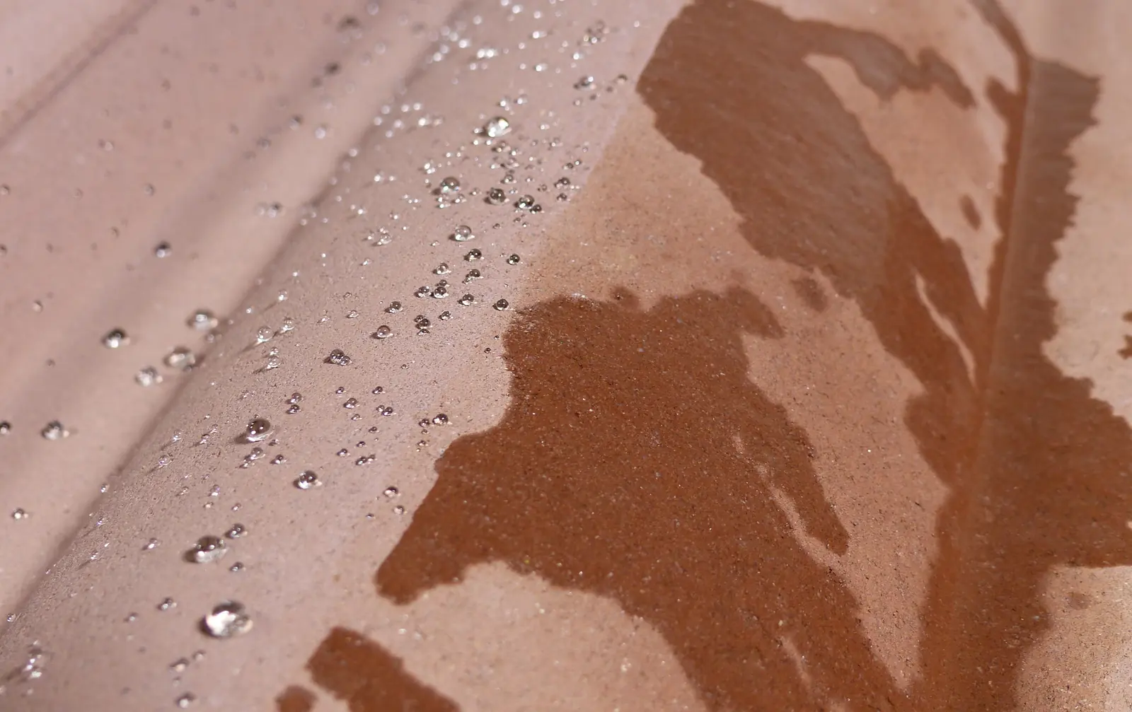 Rainwater beading on a treated roof tile