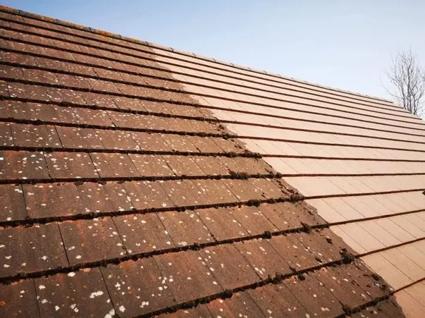 Clean roof tiles after moss removal