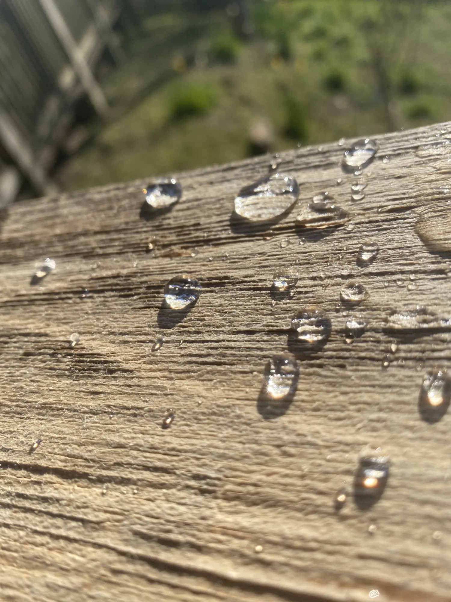 Water droplets on a treated timber rail