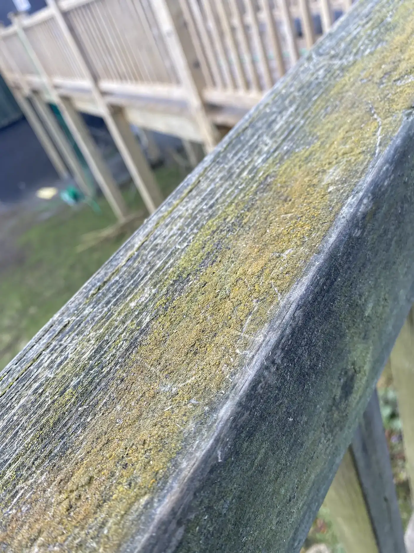 A timber rail green with algae